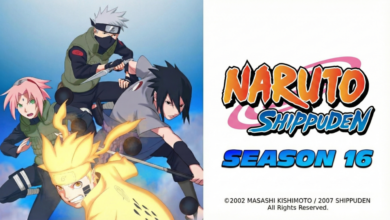 Naruto Shippuden Season 16 Hindi Dubbed Episodes Download Naruto Shippuden Season 16 Hindi Dubbed Episodes Download