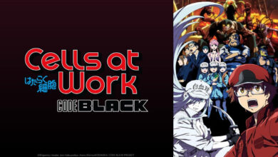 Cells at Work! Code Black Season 1 Hindi, English, Japanese (Multi Audio) WEB-DL Episodes Download