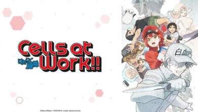 Cells at Work! Season 2 Hindi, English, Japanese (Multi Audio) WEB-DL Episodes Download
