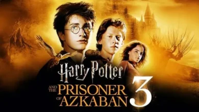 Harry Potter and the Prisoner of Azkaban (2004) Movie 3 Hindi Dubbed Download