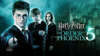 Harry Potter and the Order of the Phoenix (2007) Movie 5 Hindi Dubbed Download